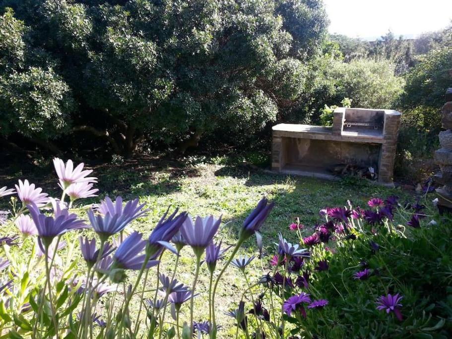 Apartamento L' Elicriso, A Pochi Passi Dal Mare Con Giardino Privato - The Elicriso, A Few Meters From The Sea, With Private Garden Stintino Exterior foto