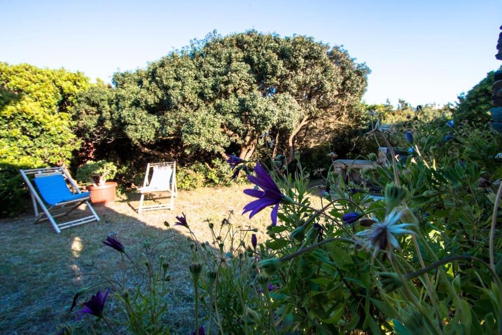 Apartamento L' Elicriso, A Pochi Passi Dal Mare Con Giardino Privato - The Elicriso, A Few Meters From The Sea, With Private Garden Stintino Exterior foto
