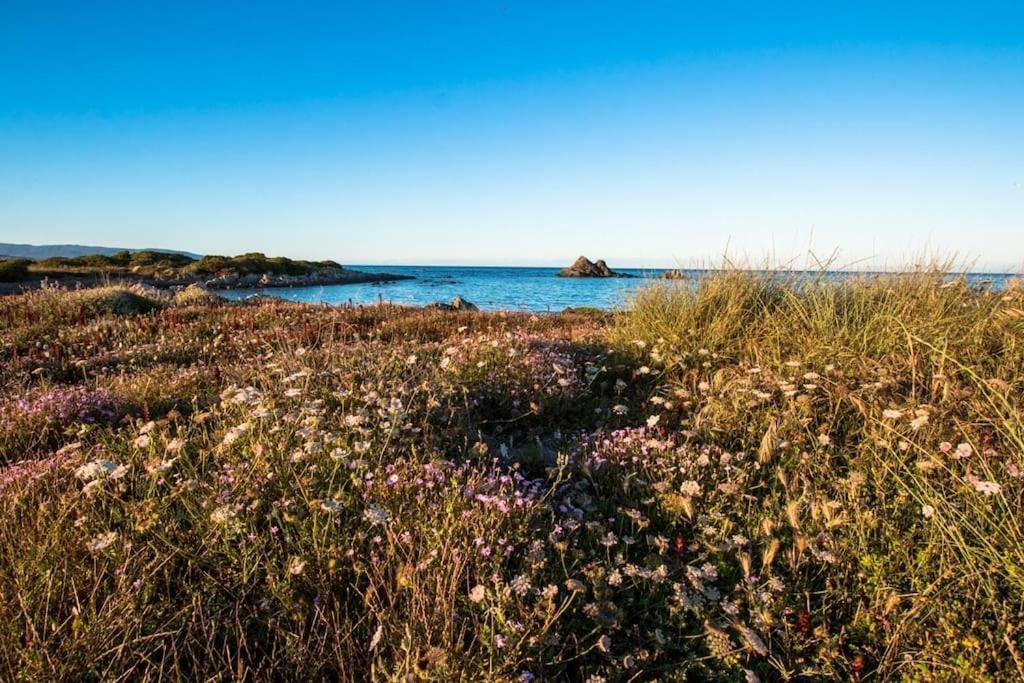 Apartamento L' Elicriso, A Pochi Passi Dal Mare Con Giardino Privato - The Elicriso, A Few Meters From The Sea, With Private Garden Stintino Exterior foto