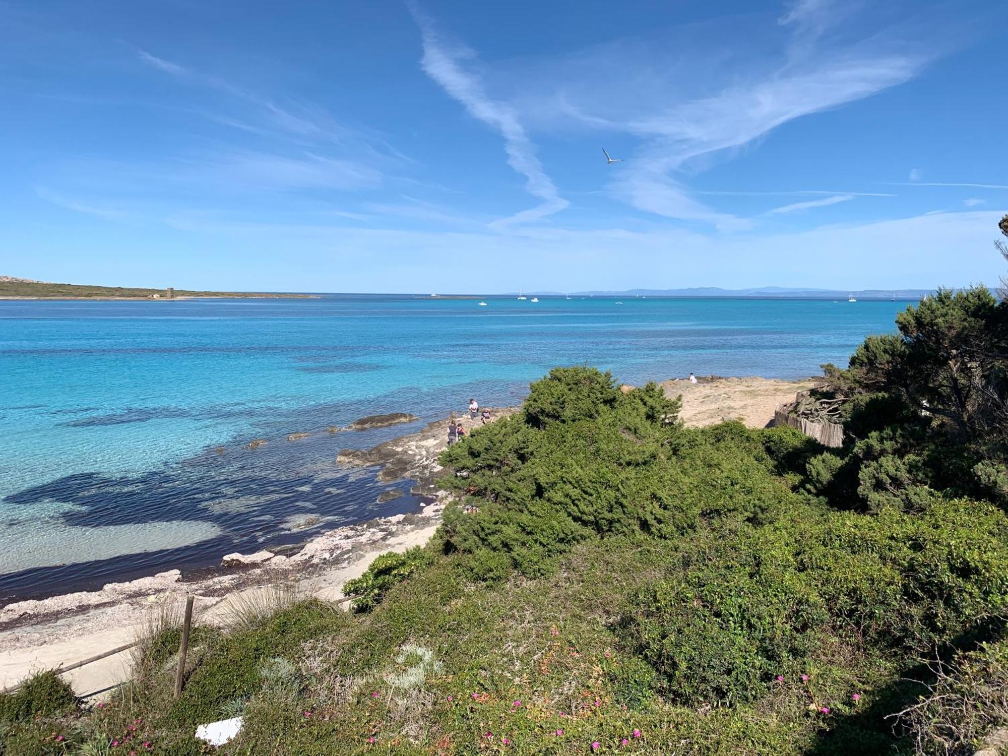 Apartamento L' Elicriso, A Pochi Passi Dal Mare Con Giardino Privato - The Elicriso, A Few Meters From The Sea, With Private Garden Stintino Exterior foto