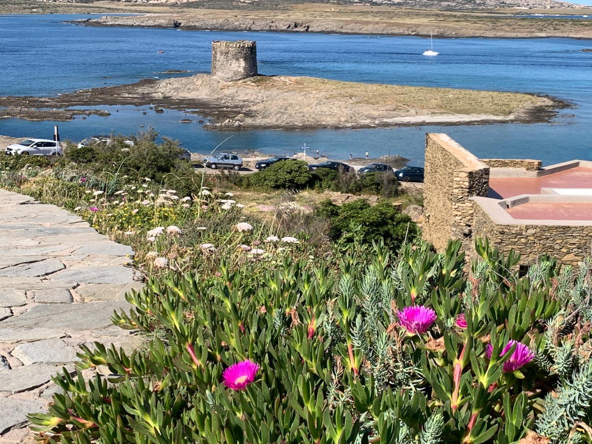 Apartamento L' Elicriso, A Pochi Passi Dal Mare Con Giardino Privato - The Elicriso, A Few Meters From The Sea, With Private Garden Stintino Exterior foto